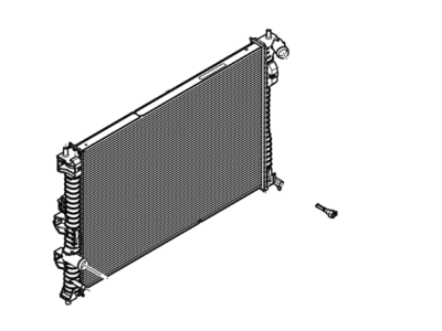 Radiator Assy