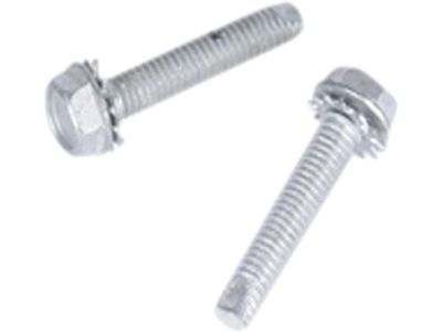 Screw, Distributor (Also Knock Sensor)