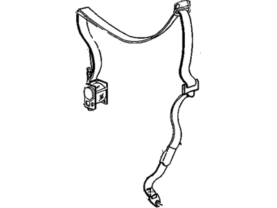 Belt Kit