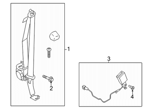 Lap & Shoulder Belt