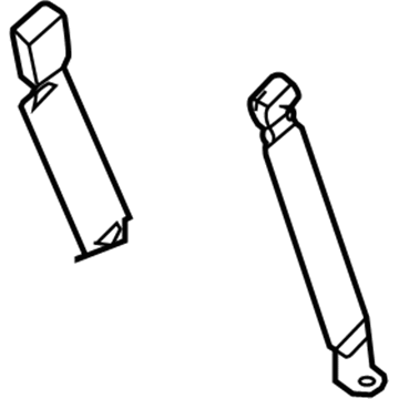 Belt And Buckle Assy