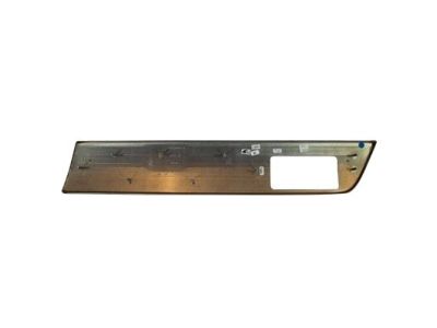 Applique - Door Trim Panel