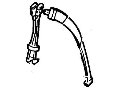 Belt And Buckle Assy