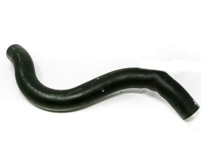 Hose - Radiator
