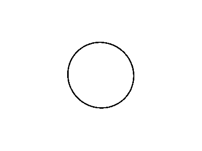 O Ring