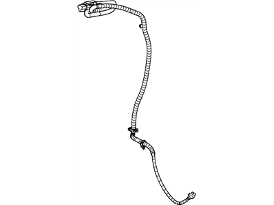 Cord