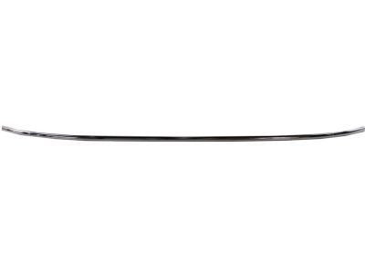 Molding, Bumper/Fascia