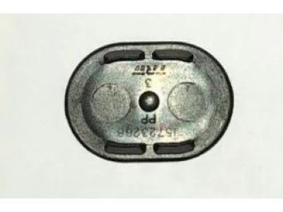 Plug, Door Trim/Access