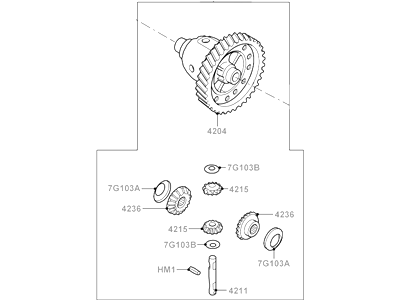 Differential Assy
