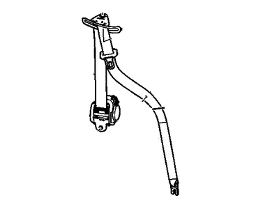 Belt Kit