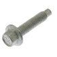 Air Inlet Bolt