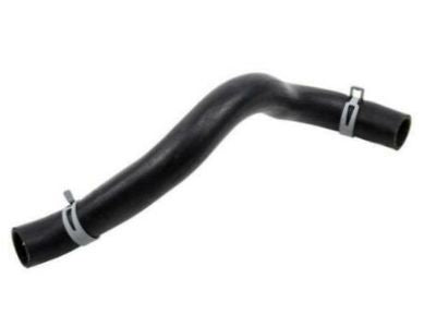 Hose