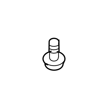 Rear Shield Screw
