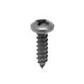 Screw Tapping Pan Head .19-16X1.322
