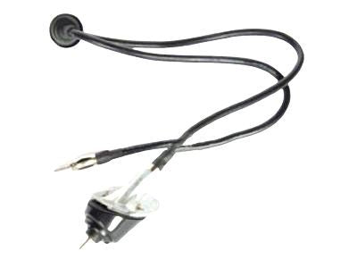 Base, Radio Antenna