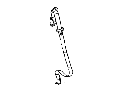 Belt Kit