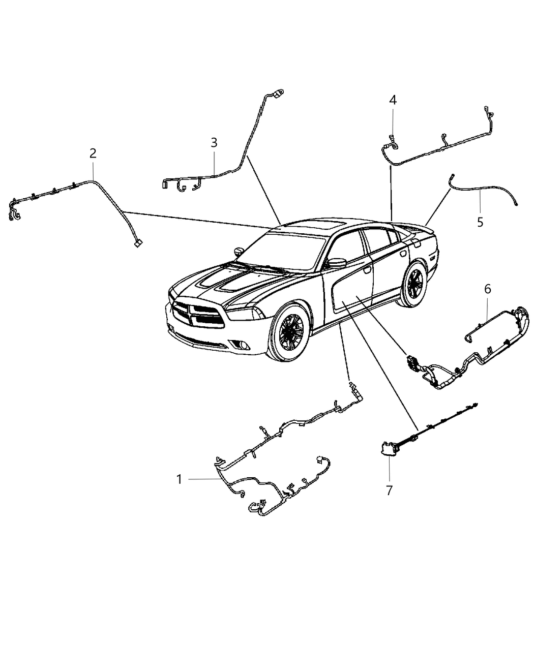 Wiring Body