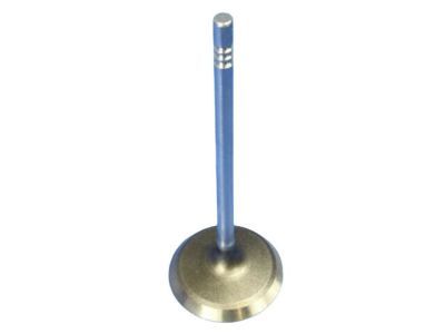 Valve Intake Standard