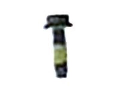 Bolt