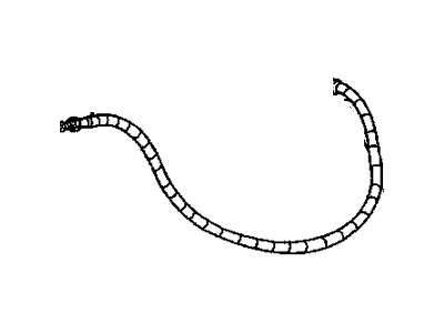 Hose