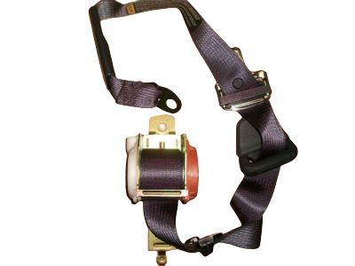 Belt Kit
