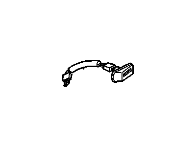 Lamp, Turn Signal