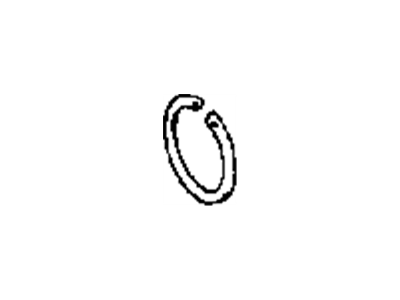 Snap Ring