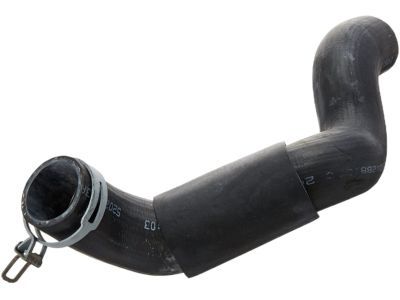 Hose Radiator Outlet