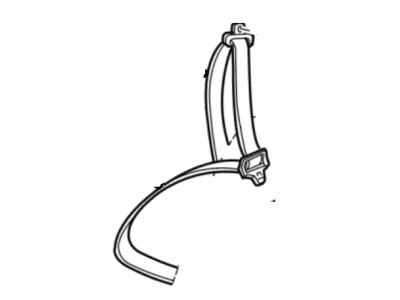 Seat Belt Assy