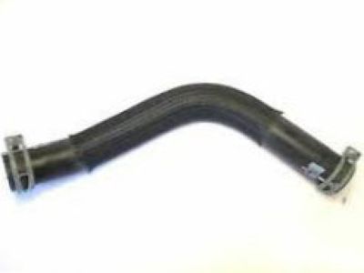 Hose