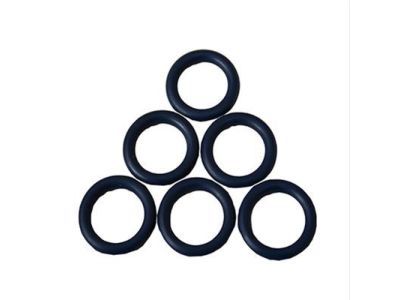 Pressure Valve O-Ring