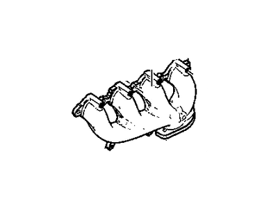 Manifold