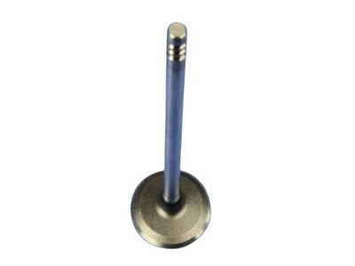 Valve Intake Standard