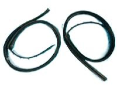 Weatherstrip
