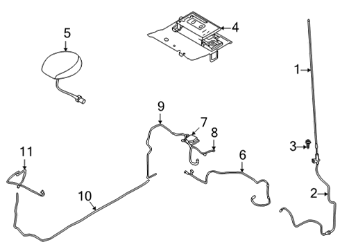 Base Screw