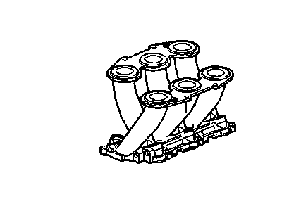Manifold
