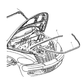 Seal Cowl Screen To Hood Inner Panel