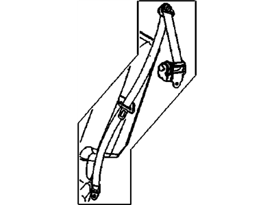 Belt Kit
