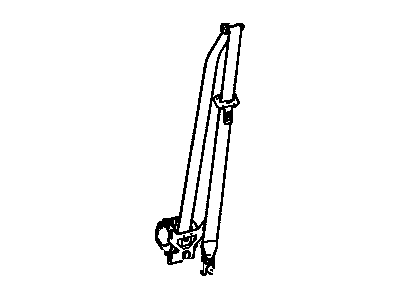 Belt Kit