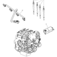 Glow Plug