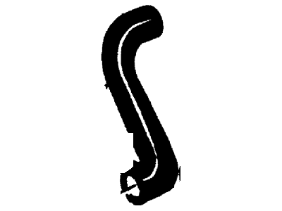 Hose (Radiator)