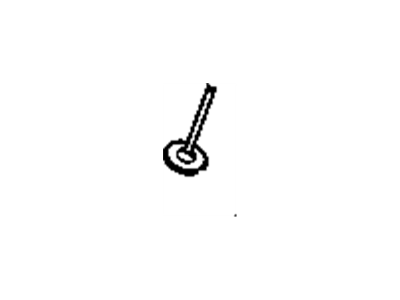 Valve, Intake