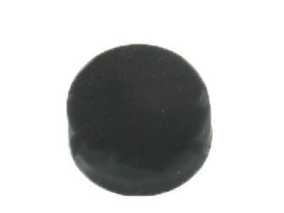Wiper Arm Cap