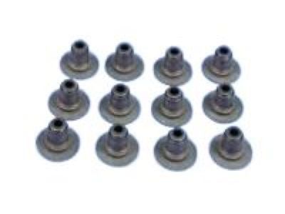 Seal, Intake Valve Stem, Oil (White Band)