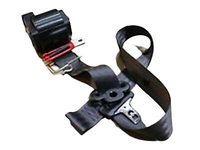 Seat Belt Assy