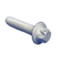 Screw