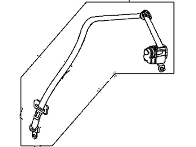 Belt Kit