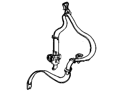 Belt Kit