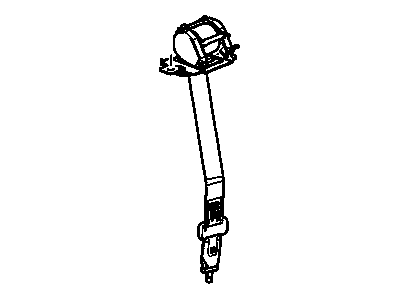 Belt Kit