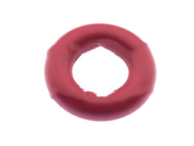 Filter Assembly O-Ring